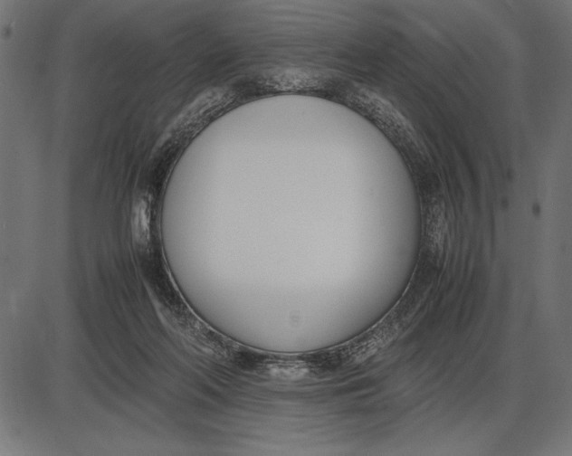 X0000086110214200704091427