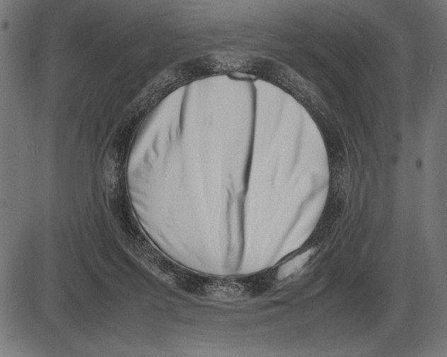 X0000086110215200704091427