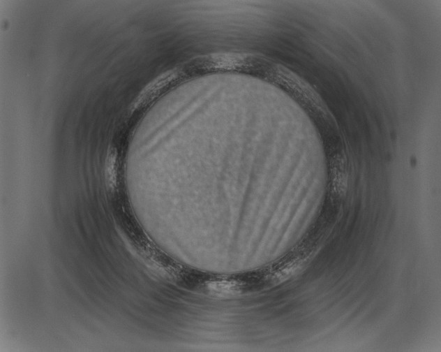 X0000086110216200704091427