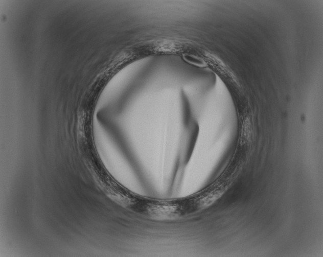 X0000086110217200704091427