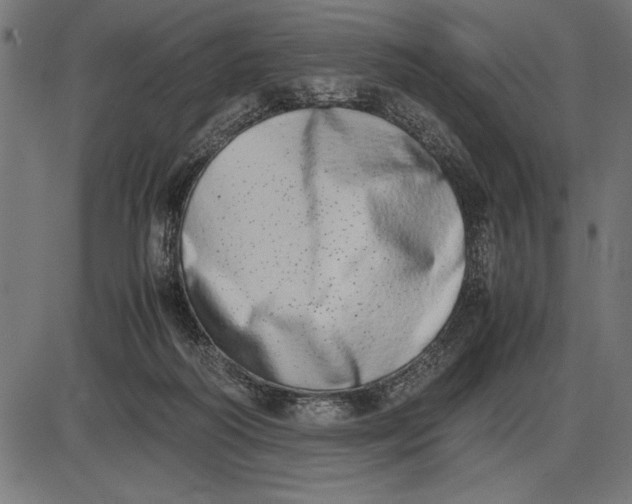 X0000086110218200704091427