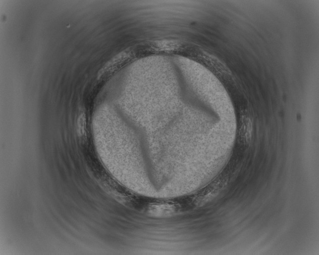 X0000086110220200704091427