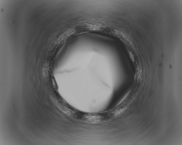 X0000086110221200704091427