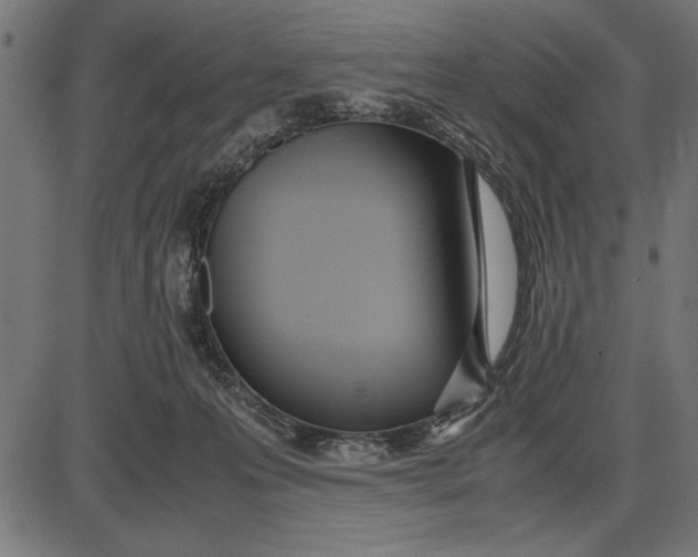 X0000086110223200704091427