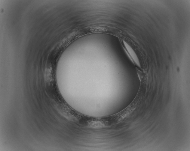 X0000086110224200704091426