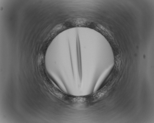 X0000086110225200704091426