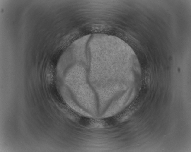 X0000086110226200704091426