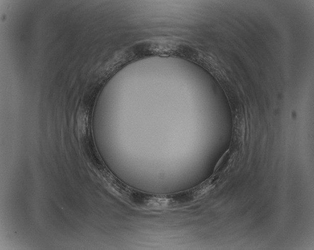 X0000086110227200704091426