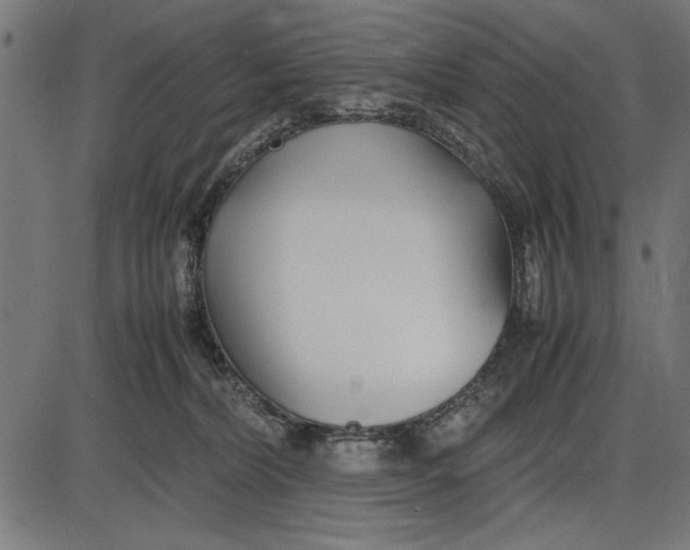 X0000086110228200704091426