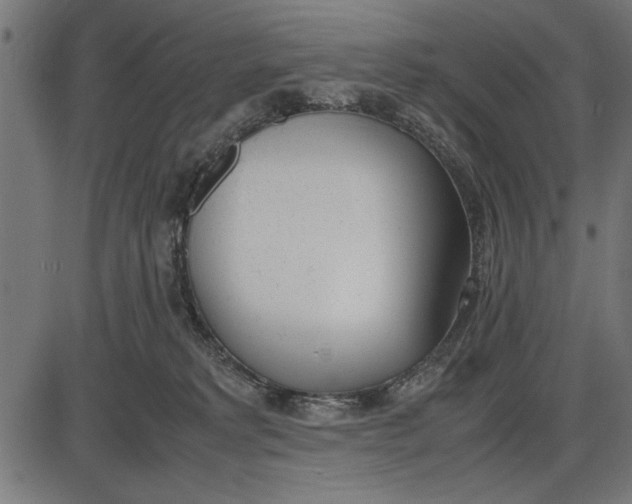 X0000086110229200704091426