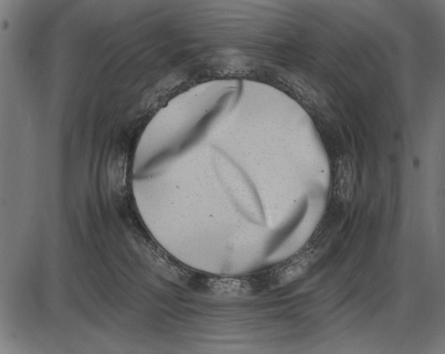 X0000086110230200704091426