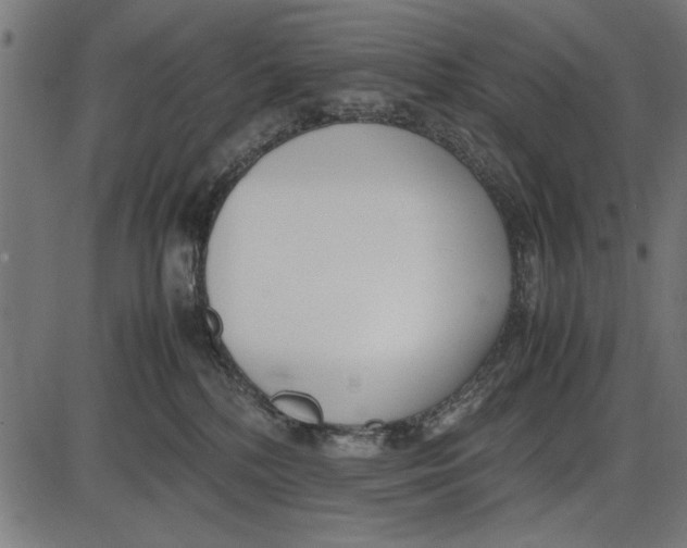 X0000086110232200704091426