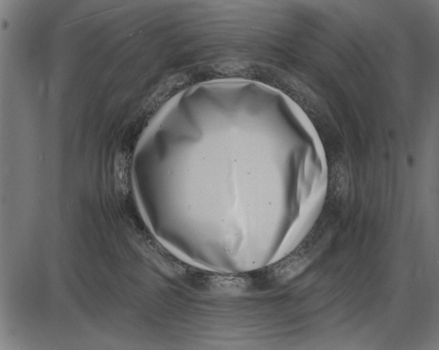 X0000086110234200704091426