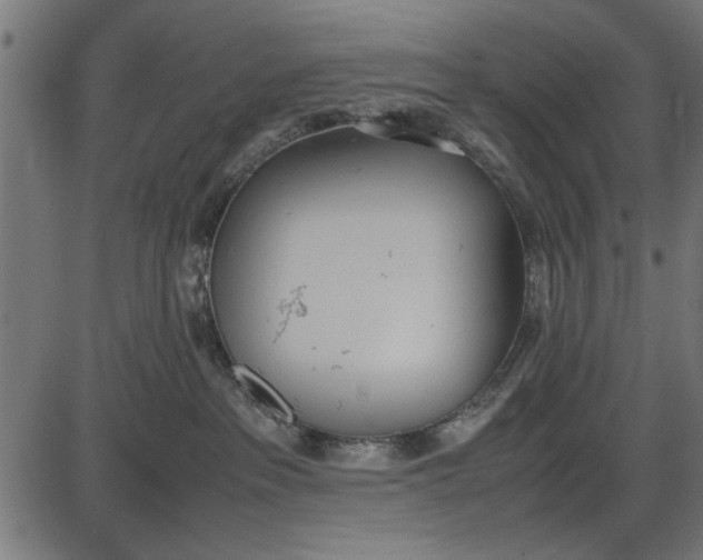 X0000086110237200704091426