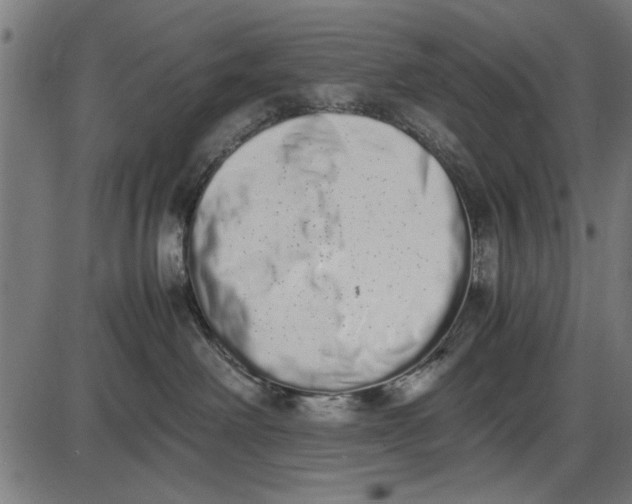 X0000086110238200704091426