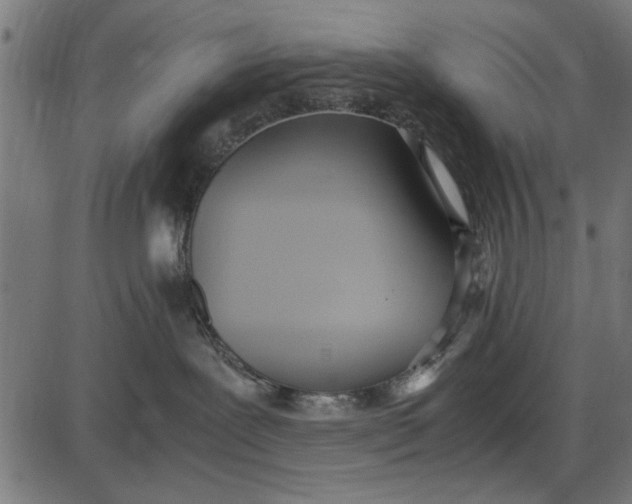 X0000086110239200704091426