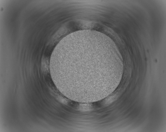 X0000086110240200704091426