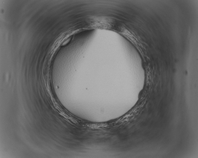 X0000086110241200704091425