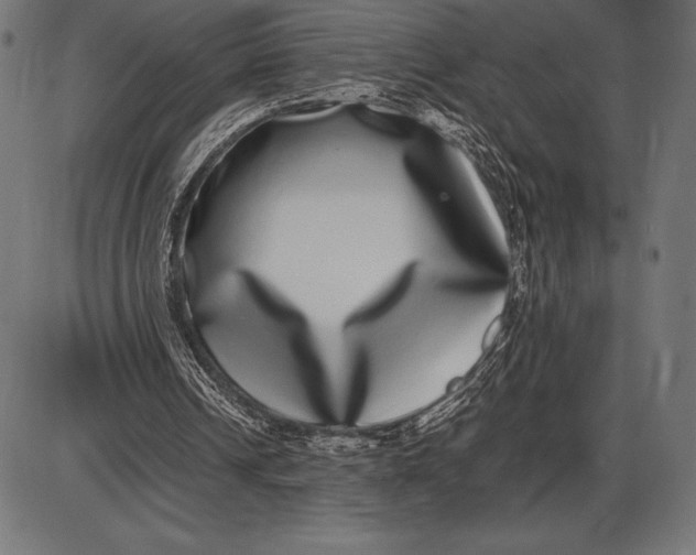 X0000086110242200704091425