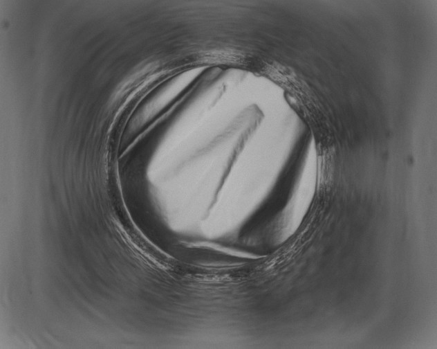 X0000086110243200704091425