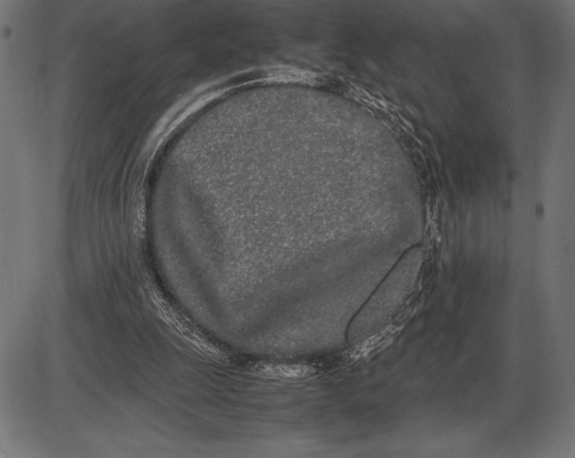 X0000086110247200704091426