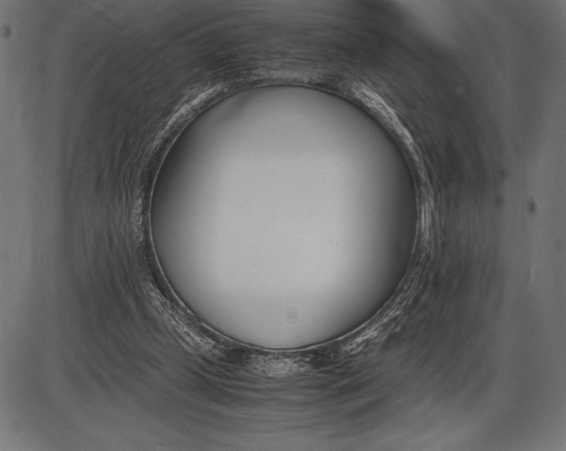 X0000086110249200704091426