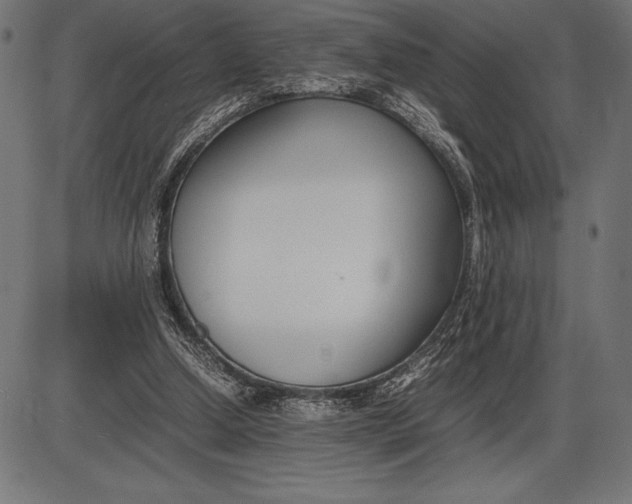 X0000086110250200704091426