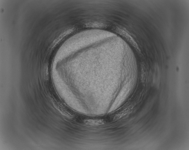 X0000086110251200704091426