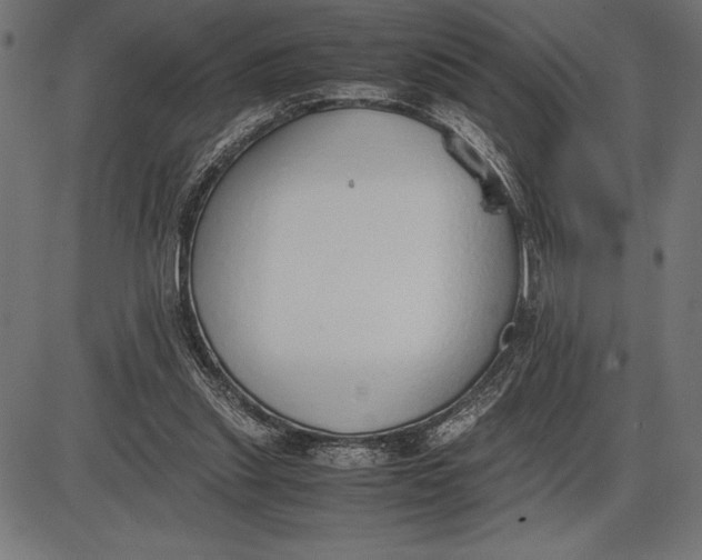 X0000086110253200704091426