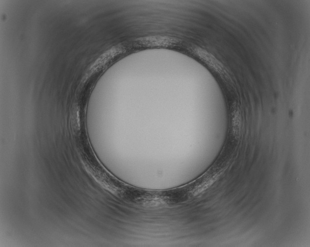 X0000086110254200704091426