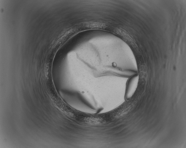 X0000086110255200704091426