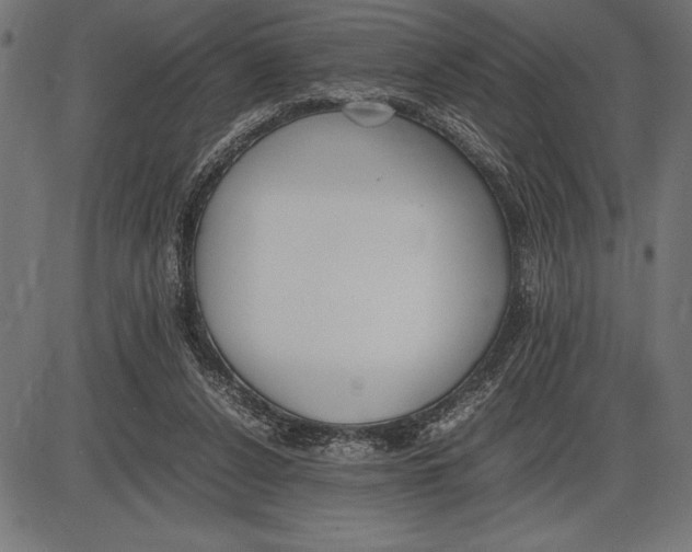 X0000086110256200704091426