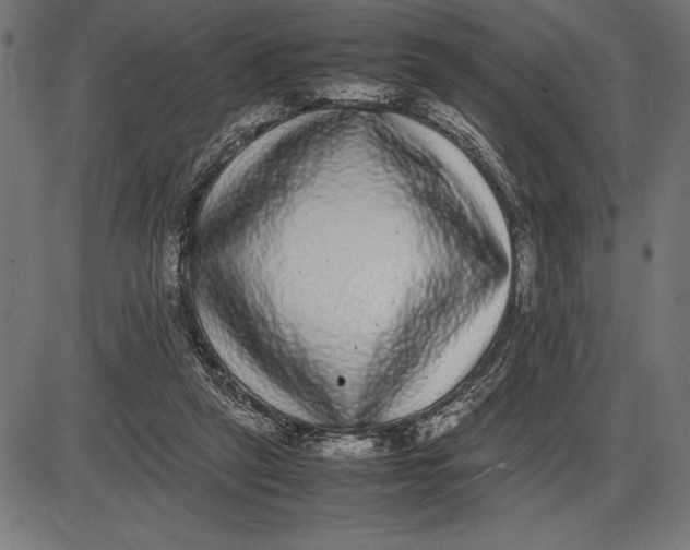 X0000086110257200704091426