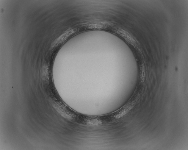 X0000086110258200704091426