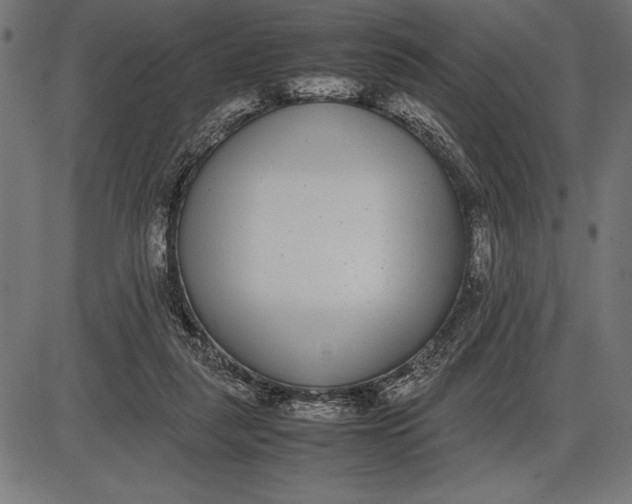 X0000086110259200704091426