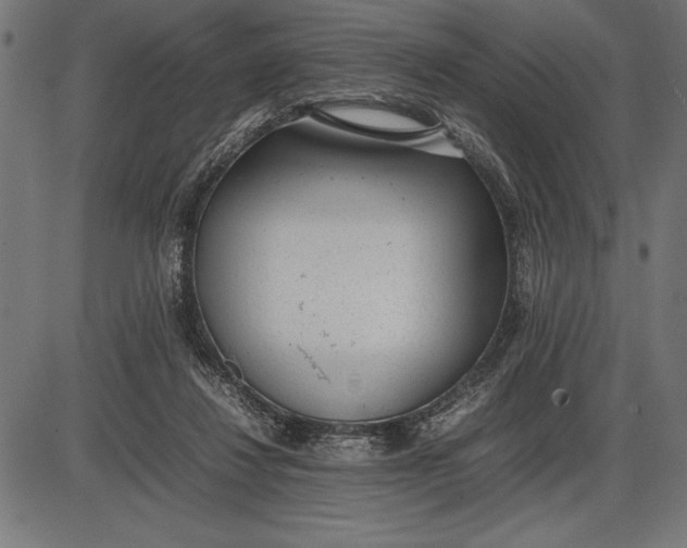 X0000086110260200704091426