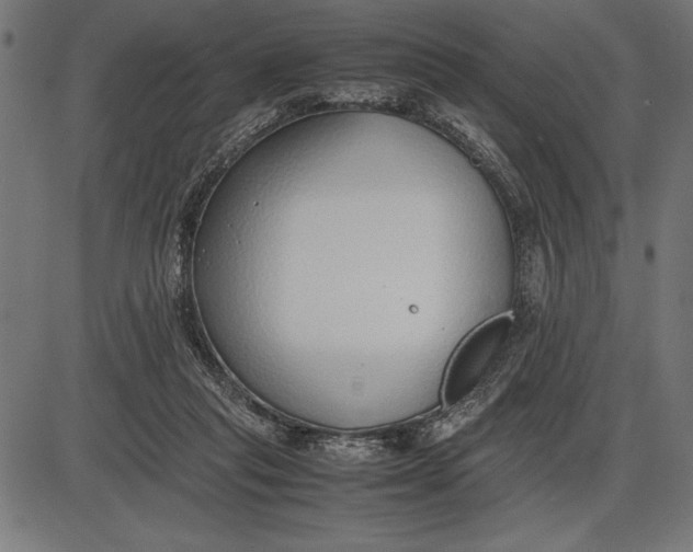 X0000086110261200704091426