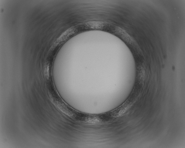 X0000086110262200704091426