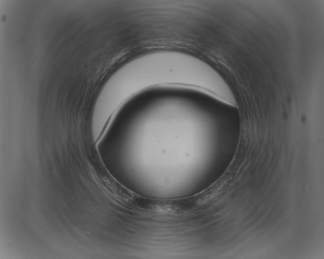 X0000086110264200704091426