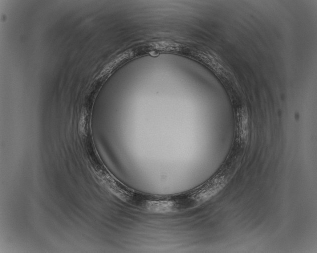 X0000086110266200704091426