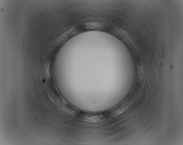 X0000086110267200704091426