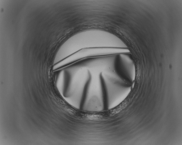 X0000086110268200704091426