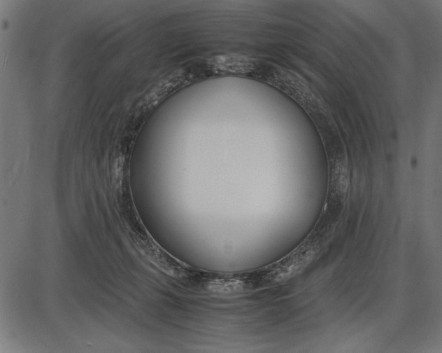 X0000086110271200704091426