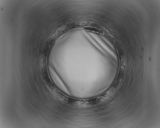 X0000086110272200704091426