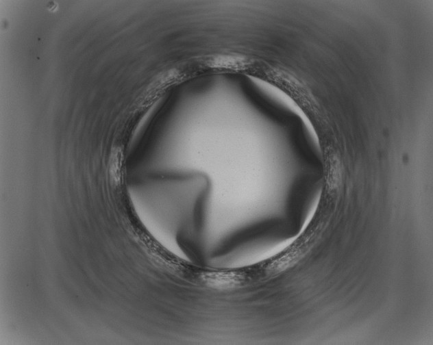 X0000086110273200704091426