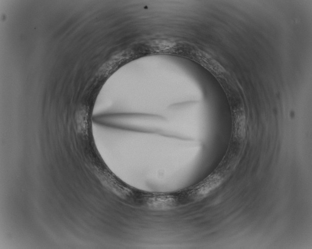 X0000086110274200704091426