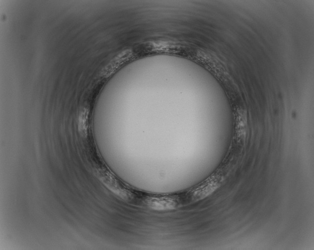 X0000086110275200704091426