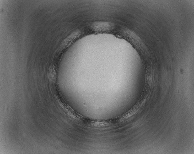 X0000086110277200704091426