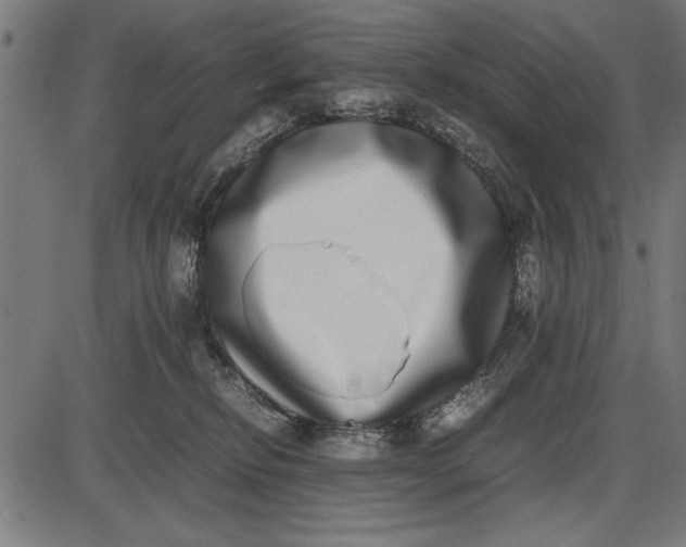 X0000086110278200704091426