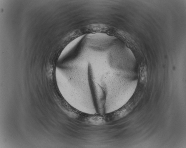 X0000086110279200704091426